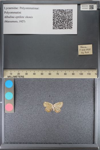 Media type: image;   Entomology 193421
